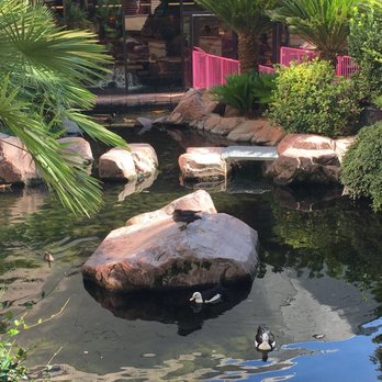 Flamingo Las Vegas - Hotels Near Me - Las Vegas, Nevada