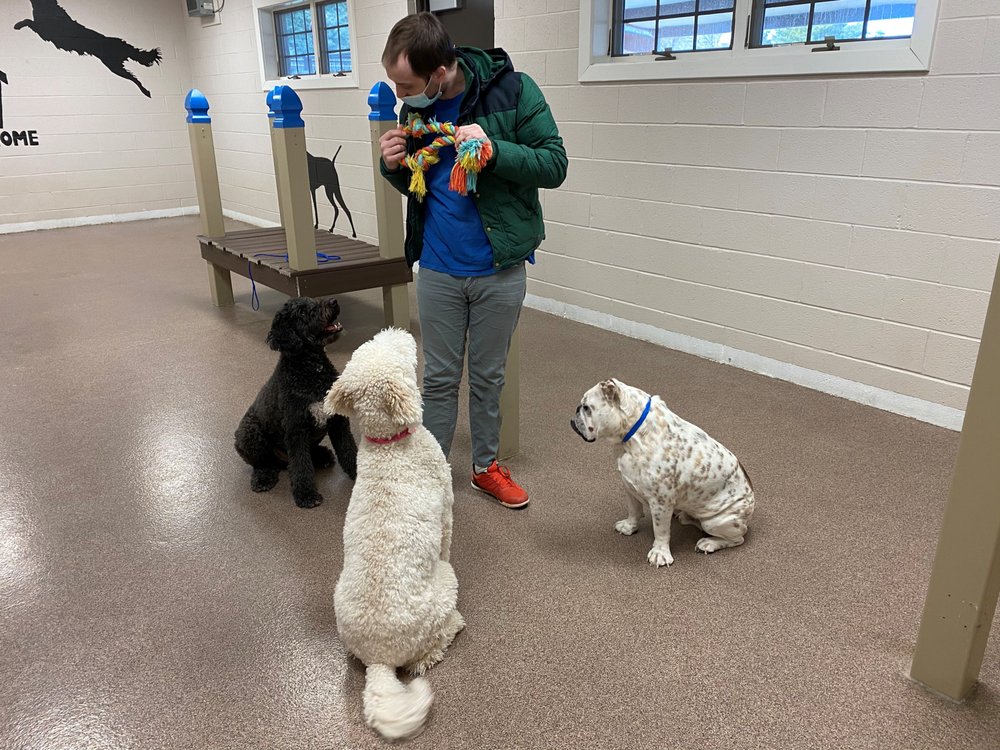 ALMOST HOME BOARDING & GROOMING Updated August 2024 14 Photos & 10 Reviews 7903 Cramer Ct