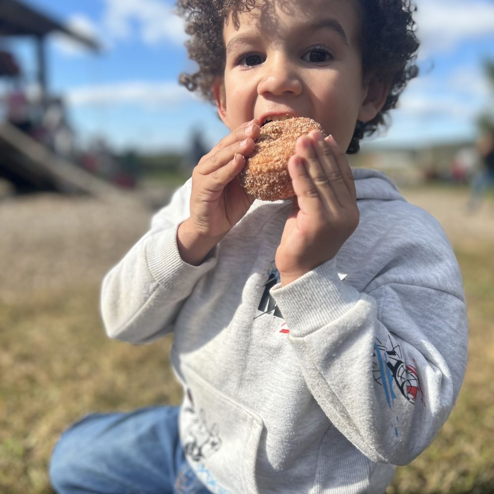 Barton Orchards - Apple Cider Donuts - really, wow - Farmers Market Near Me - Poughquag, New York Barton Orchards - Apple Cider Donuts - really, wow - Farmers Market Near Me - Poughquag, New York
