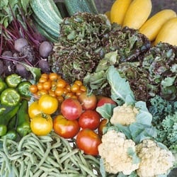 North Adams Farmers Market