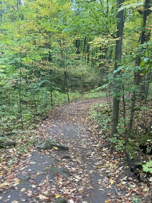 Kelso Conservation Area by null