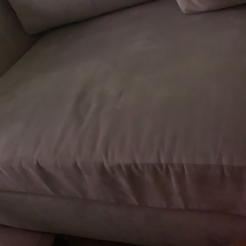 Z Gallerie - This is an example of another sofa purchased August 2020 it's October 4,2020 - Furniture Stores Near Me - Paramus, New Jersey Z Gallerie - This is an example of another sofa purchased August 2020 it's October 4,2020 - Furniture Stores Near Me - Paramus, New Jersey
