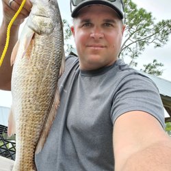 Destin Kayak Rentals