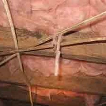 Marks Termite & Pest Control - untitled - Pest Control Near Me - Washington, North Carolina Marks Termite & Pest Control - untitled - Pest Control Near Me - Washington, North Carolina