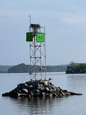 Saugerties Lighthouse by null