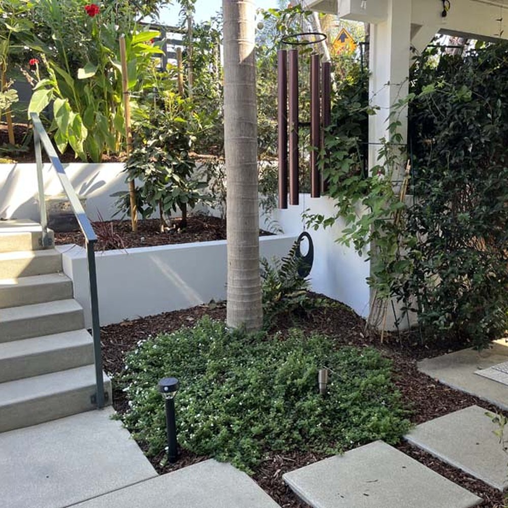 Smart Landscape - Landscaping Near Me - San Diego, California Smart Landscape - Landscaping Near Me - San Diego, California