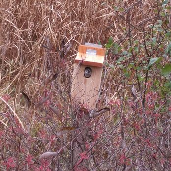 Franklin Woods Nature Center - Lots of new bird houses around the marsh - Parks Near Me - Franklin, Wisconsin