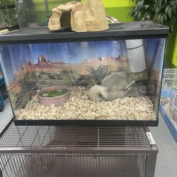 Coral Reef Pet Center