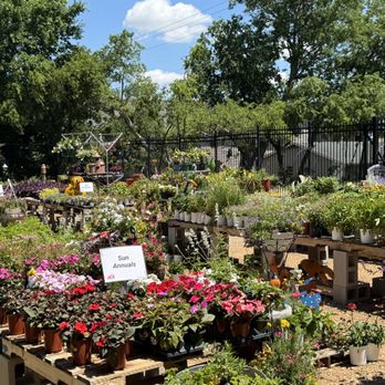 Ace Hardware - We just love having a Garden, full of Texas-grown plants! - Hardware Stores Near Me - Rhome, Texas