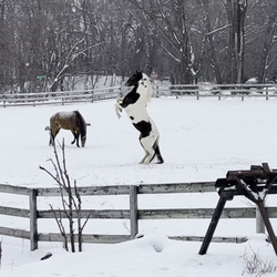 Riverview Ranch & Resort - We are here in winter too.