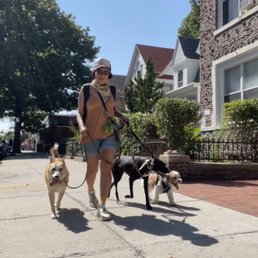 Bareket with Tara and other 2 dogs. 10 STARS for Bareket Bareket with Tara and other 2 dogs. 10 STARS for Bareket