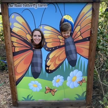 The Maui Butterfly Farm - Fun sign with kids. - Botanical Gardens Near Me - Lahaina, Hawaii The Maui Butterfly Farm - Fun sign with kids. - Botanical Gardens Near Me - Lahaina, Hawaii