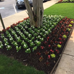 NHC Healthcare and Rehab - They did such a nice job last week on these flower beds! Absolutely lovely