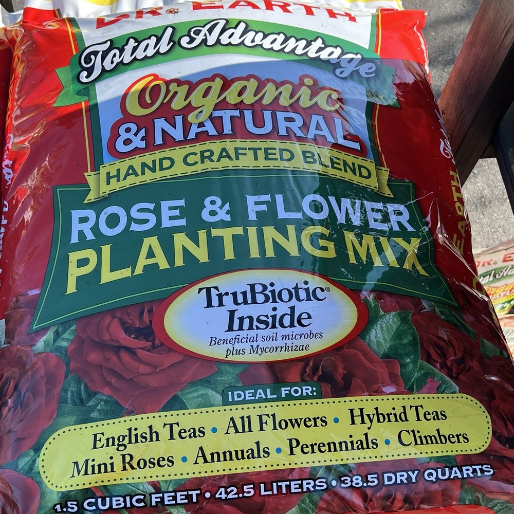 Pike Nurseries - My roses get nothing g but the best! - Nurseries & Gardening Near Me - Cornelius, North Carolina