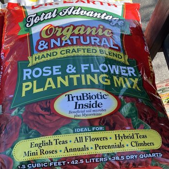 Pike Nurseries - My roses get nothing g but the best! - Nurseries & Gardening Near Me - Cornelius, North Carolina Pike Nurseries - My roses get nothing g but the best! - Nurseries & Gardening Near Me - Cornelius, North Carolina