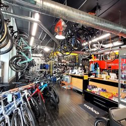 Suncycling  - Interior.
