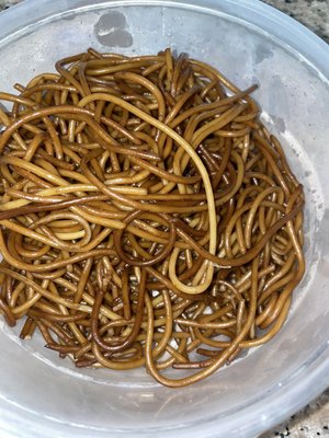 Gourmet Kitchen by null