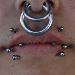 The Piercing Bar - Fresh pair of Angel fangs! (Vertical upper lip piercings)