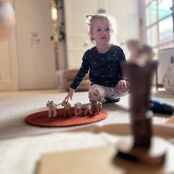 Creative Imagination Schoolhouse - Building an animal habitat!