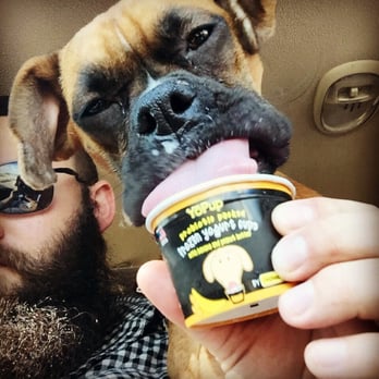 Give a Dog a Bone - Pet Stores Near Me - Evansville, Indiana Give a Dog a Bone - Pet Stores Near Me - Evansville, Indiana