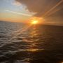 Photo of Bottoms Up Fishing Excursions