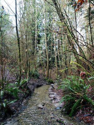 Schmitz Preserve Park by null