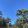 Photo of Firetower Rv Park