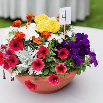 Armstrong Garden Centers - Nurseries & Gardening Near Me - El Cajon, California