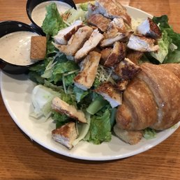 Grilled Chicken Salad Grilled Chicken Salad