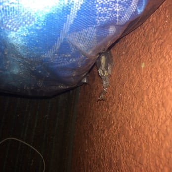 Budget Inn - Dirt behind bed - Hotels Near Me - La Puente, California