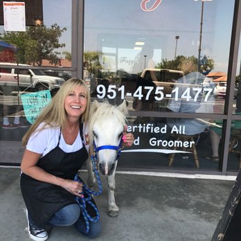 Foxy Fur - PawTree - Lora & Smokey - Pet Groomers Near Me