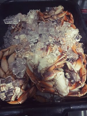 Telly's Grill by null