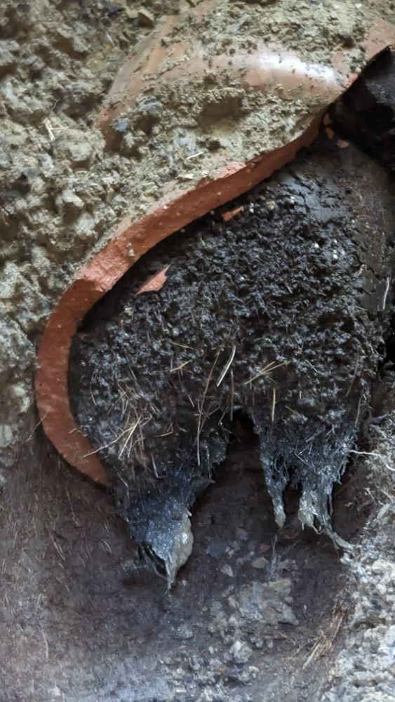 Slide of DFS Plumbing, Sewer & Drainage