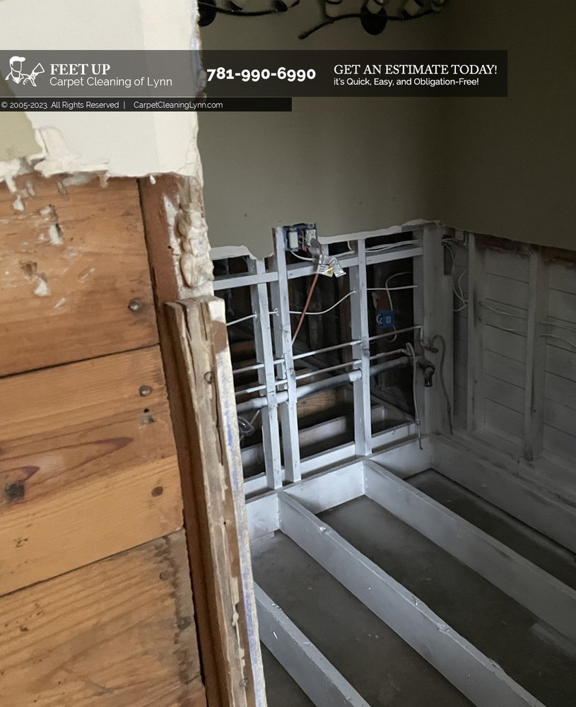 FEET UP CARPET CLEANING OF LYNN Updated June 2024 11 Photos 170