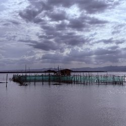 Lantaw Floating Native Restaurant