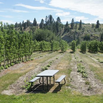 Summerland Heritage Cider - Picnic table with a view - Cideries Near Me - Summerland, British Columbia Summerland Heritage Cider - Picnic table with a view - Cideries Near Me - Summerland, British Columbia