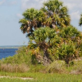 San Marcos de Apalache Historic State Park - Love the palm trees, where high boots, grass got itchy, i wore flip flops - Museums Near Me - Saint Marks, Florida San Marcos de Apalache Historic State Park - Love the palm trees, where high boots, grass got itchy, i wore flip flops - Museums Near Me - Saint Marks, Florida