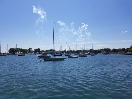 Belmont Harbor by null