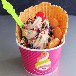 Menchie's Frozen Yogurt