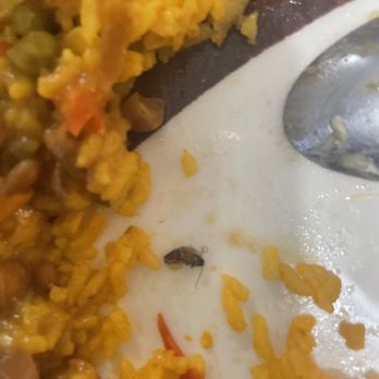 Mi Colombia Bakery - a closeup of a plate of food - Colombian Near Me - Elizabeth, New Jersey Mi Colombia Bakery - a closeup of a plate of food - Colombian Near Me - Elizabeth, New Jersey