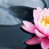 Moving Forward Advanced Therapy gift card