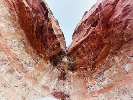 Birthing Cave by null