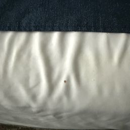 Bloodstain Bloodstain