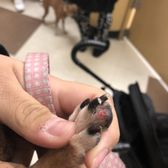 petsmart stool softener