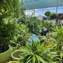 Photo of KB Home & Garden 