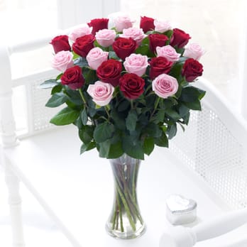 All Occasions - Florists Near Me - Halesowen, XWM All Occasions - Florists Near Me - Halesowen, XWM
