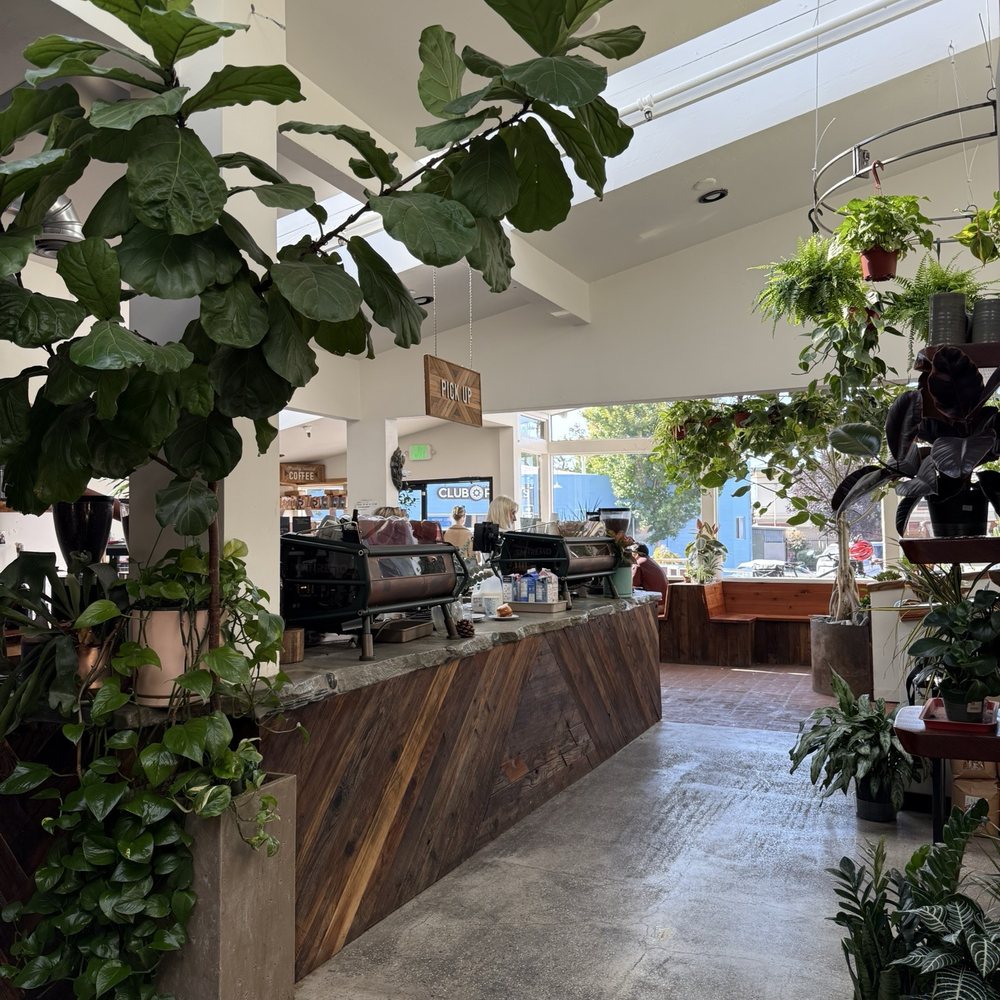 11th Hour Coffee - Coffee & Tea Near Me - Santa Cruz, California