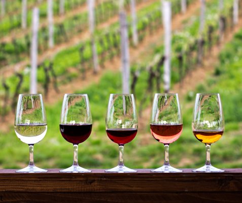 TerraVox Winery by null