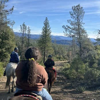 Dreamor Ranch - Horseback Riding Near Me - Coulterville, California Dreamor Ranch - Horseback Riding Near Me - Coulterville, California