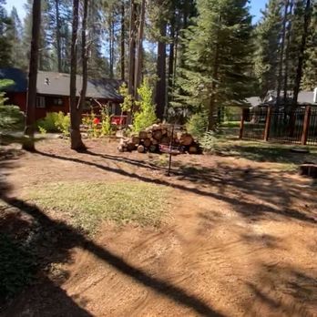 Benuto Tree Service - Clean of debris after tree work. - Tree Services Near Me Benuto Tree Service - Clean of debris after tree work. - Tree Services Near Me